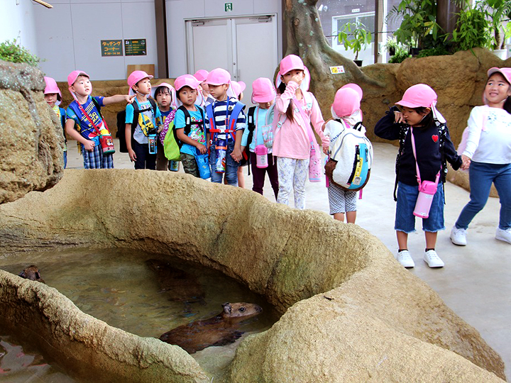 10月 秋季遠足